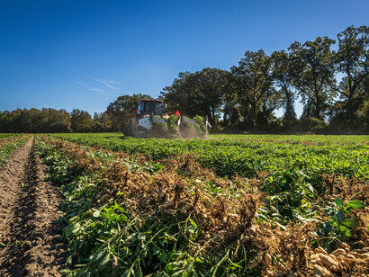La filiera agroalimentare è al centro dell'attenzione, e la Fiera offre uno sguardo approfondito su come i prodotti agricoli arrivano sulle nostre tavole