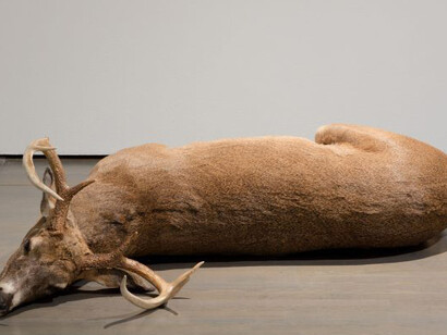 L’état du monde. Courtesy of MAC 