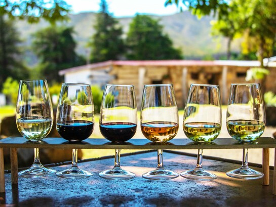Degustazione di vini: "Il vino: è cultura, identità, storia, unità, disuguaglianza, esperienza sensoriale, vita"