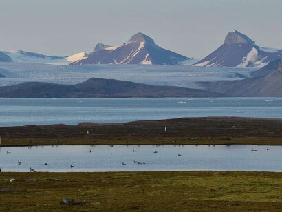 Silenzio e solitudine nella tundra artica