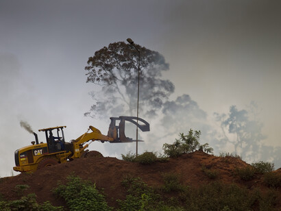Distruzione della biodiversita
