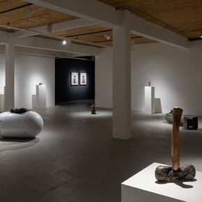 Brandon Vickerd, Phantom limb, exhibition view. Courtesy of Art Mûr