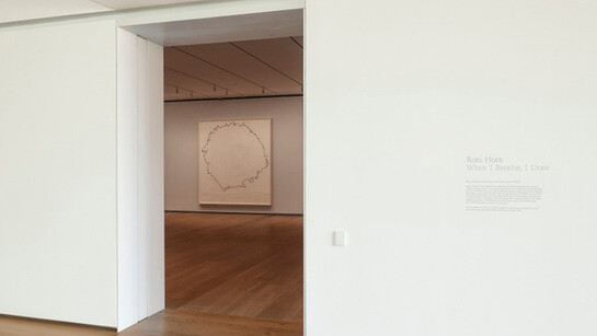 Roni Horn. Courtesy of Menil