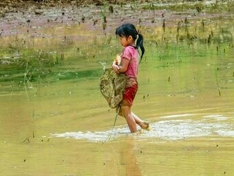 Criança de família cigana. Falar de territórios é desnudar camadas. Camadas de chão e de corpos. Camadas de tempo, de memórias, de limites. Seja o espaço geográfico dos mapas e as suas divisas, o território simbólico da pertença e identidade, o território ecológico como extensão da vida ou ainda o corpo, essa primeira e mais íntima fronteira


