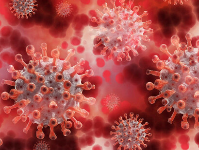 Los datos sobre la vacunación infantil aún son demasiado escasos