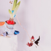 Laura Letinsky, Spring is bloo, 2023. Cortesia da Document Gallery