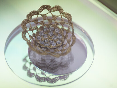 Vitórias Régias para Rio Cocó (Victoria amazonica lily pads for River Cocó)