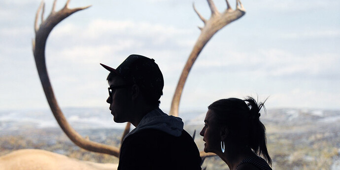 Wildlife Exhibits. Courtesy of Denver Museum of Nature & Science
