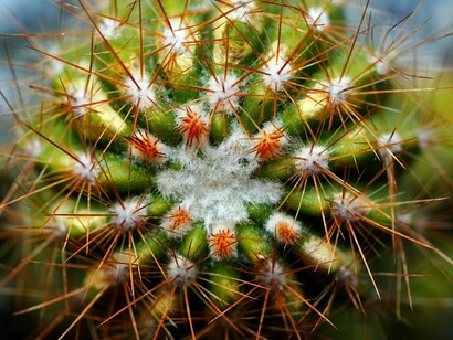 In tedesco differenza si dice "Unterschied" e deriva dal verbo "unterscheiden" che significa distinguere