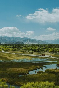 Una terra vergine, incontaminata