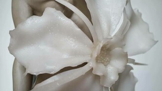 Luo Li Rong ha adoptado la precisión anatómica, así como la creatividad y la belleza del cuerpo humano de los virtuosos renacentistas