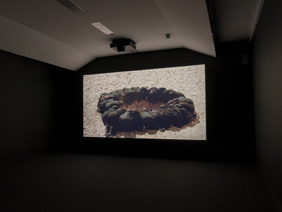 Shirin Neshat's "Body of Evidence," presented by PAC Padiglione d'Arte Contemporanea, Milan, Italy, photo credit: Nico Covre