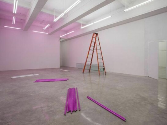 Exhibition views, We are the meeting. Photo: Jean Vong. Courtesy the artist and Casey Kaplan, New York
