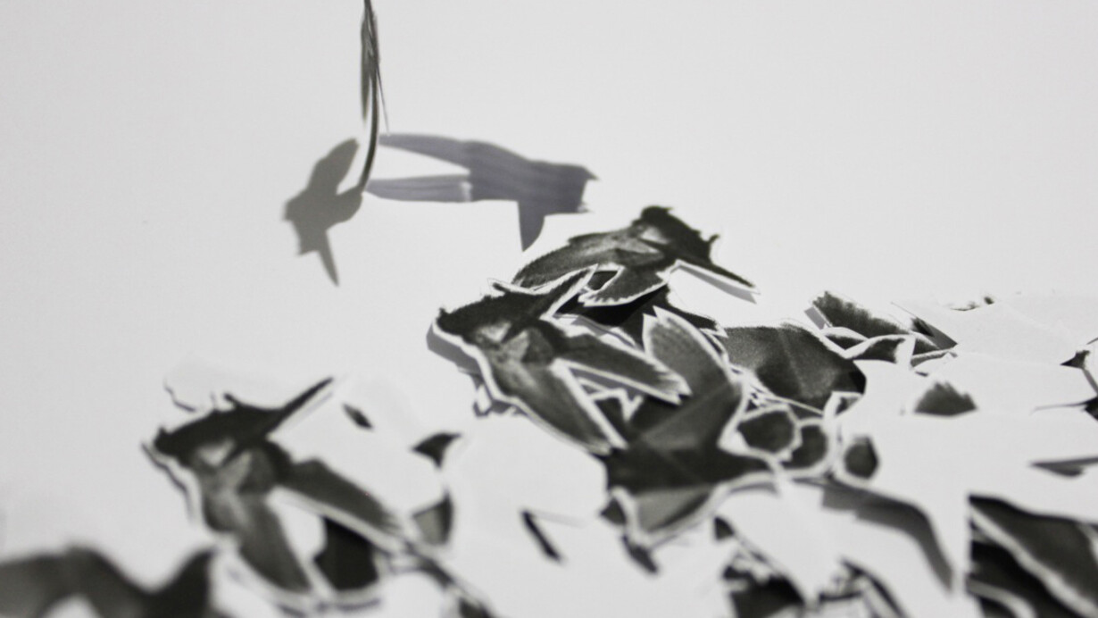 Valentina Colella. Courtesy of Amy-d Arte Spazio