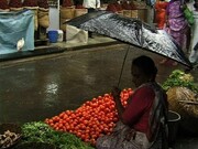 Anjali Monteiro and K.P. Jayasankar, still from Saacha (The Loom), 2001, Courtesy the artist