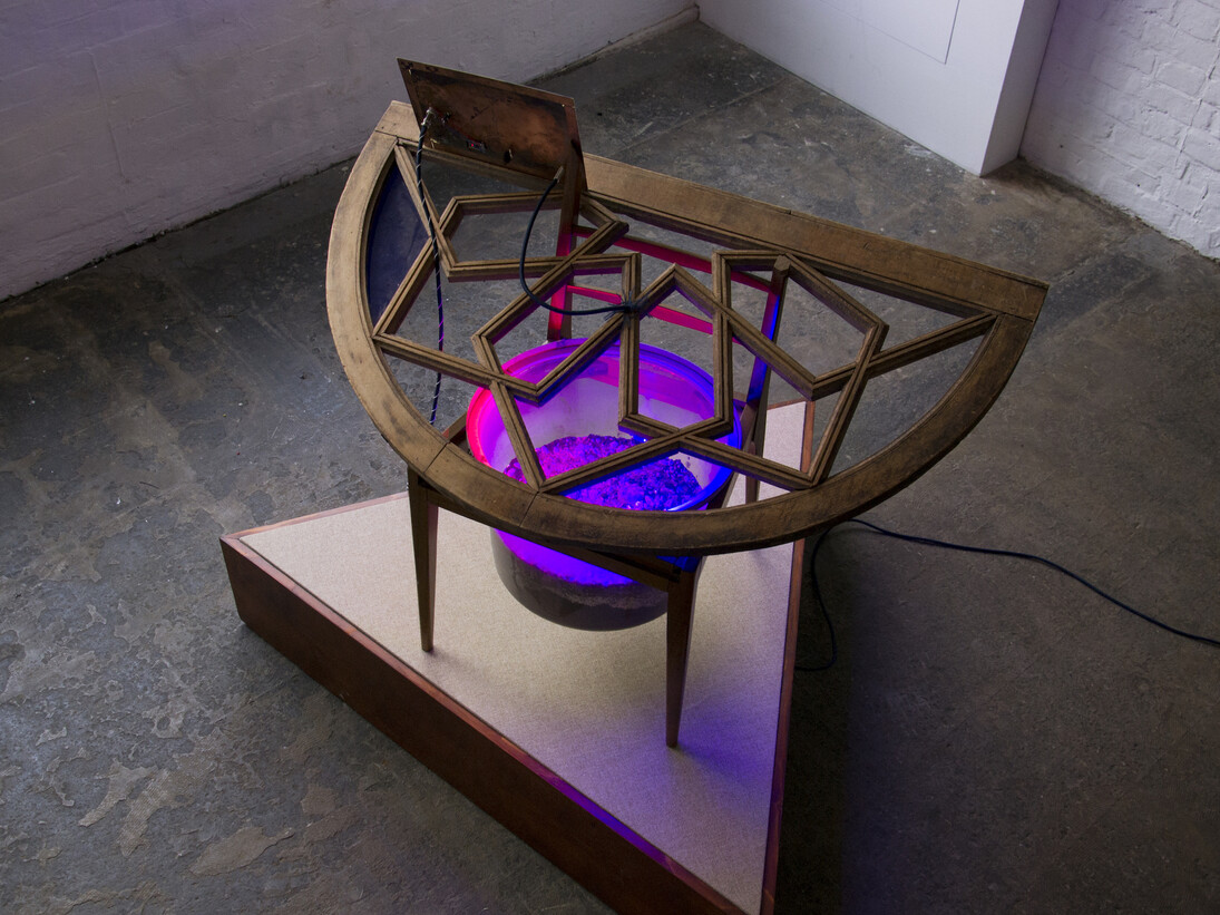 Haroon Mirza, Lamp for Williamsii, 2016. Courtesy hrm199 and Lisson Gallery, London