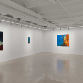 Haley Josephs, Love of waters, exhibition view. Courtesy of Almine Rech Gallery