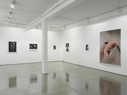 Central nervous system, exhibition view, ground floor gallery Maureen Paley, London, 2013, © the artist, courtesy Maureen Paley, London