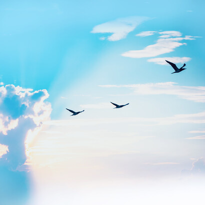 Ether: meditation, breathing, yoga, sound, symbols, chants, mantras, prayers... one seeks to evolve in those higher states of consciousness