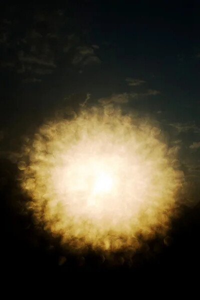 Molly Lamb, Sun (detail). Courtesy of Panopticon Gallery