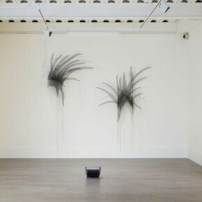 Shifting Landscapes, Exhibition view. Courtesy of Sophia Contemporary