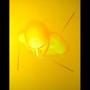 Stories and Phenomena. Courtesy of City Gallery