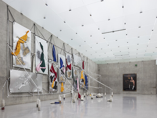 Yorgos Sapountzis, Redial monument dog and makigiaz, 2012, aluminum, fabric, plastic, paper, food, 4 x 10 x 5 m (Installation view at Kunsthaus Bregenz)  