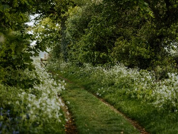 La natura insegna una forma di convivenza diversa, fatta di equilibrio, osservazione e rispetto dei tempi della vita