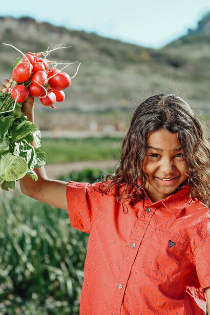 Descubra como feiras livres promovem uma alimentação mais saudável com produtos frescos e minimamente processados