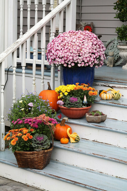 Autumn 2014 © Lady Kanna at Flickr