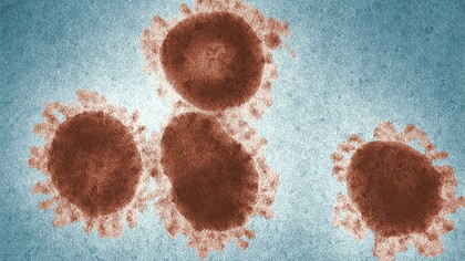 Coronavirus