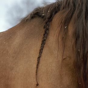 Kati Leinonen. Courtesy of The Finnish Museum of Photography