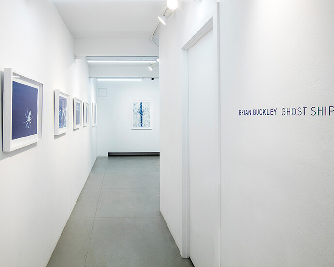 Brian Buckley, Exhibition view. Courtesy of ClampArt