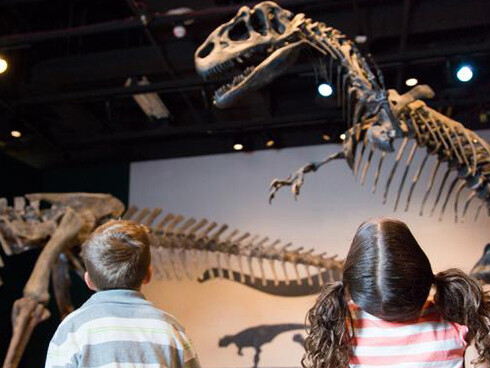 Dinosaurs & Fossils. Courtesy of Science Museum of Minnesota