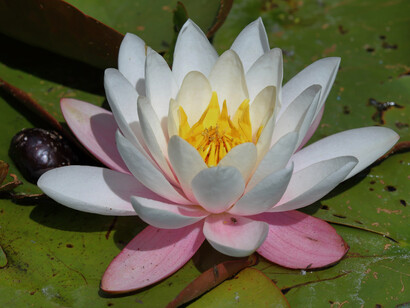 ¿Para llegar antes? ¿A dónde?