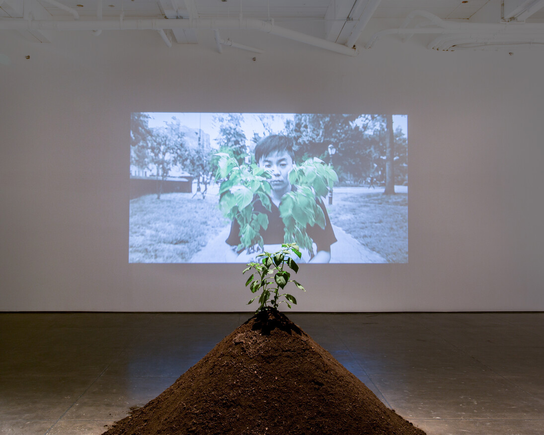 Lí Wei. Courtesy of Klein Sun Gallery 