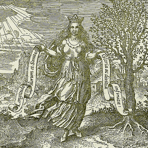 Pubblicata in latino nel 1617, nell'Atalanta Fugiens sono rappresentati 50 emblemi 