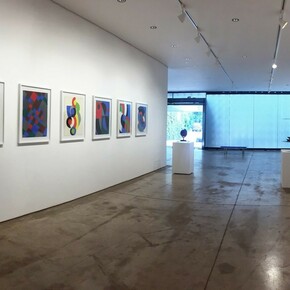 A Matéria da Cor, Exhibition view. Courtesy of Galeria Raquel Arnaud