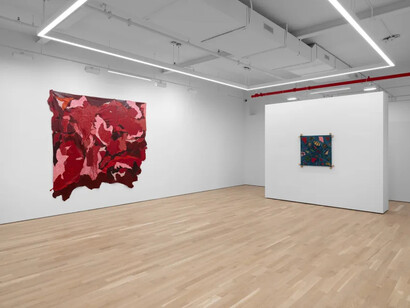 Esteban Ramón Pérez, Smoking mirror, exhibition view. Courtesy of Charles Moffett Gallery