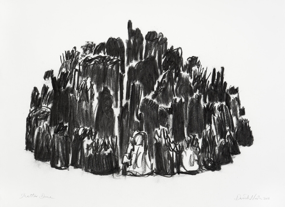 Shatter Dome, 2011, Carbone su carta 111x153 cm