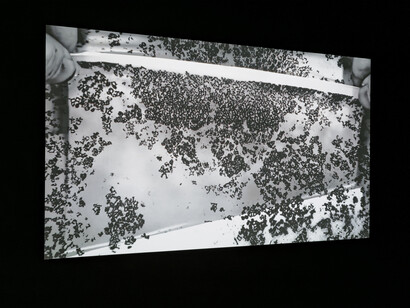 Tony Cokes and Oscar Muñoz, Utopia, dystopia, exhibition view. Courtesy of Museum of Fine Arts Boston