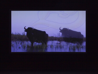 The shamash, exhibition view. Courtesy of Enjoy Contemporary Art Space