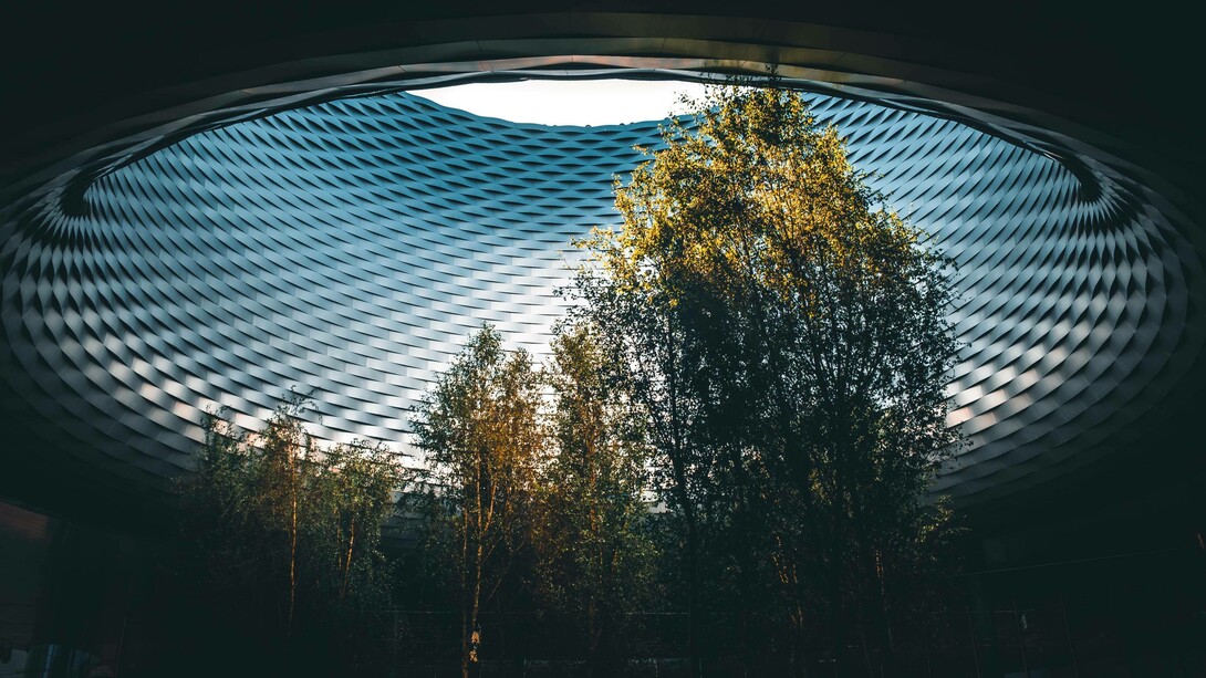 Trees growing inside a building with a circular skylight