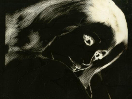 Baroness Ameliade Waldner
Photographic Acetate
37 x 28 cms (14.54 x 11.00 ins)
c.1974