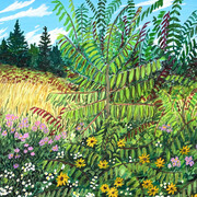 Jackson Junge Gallery