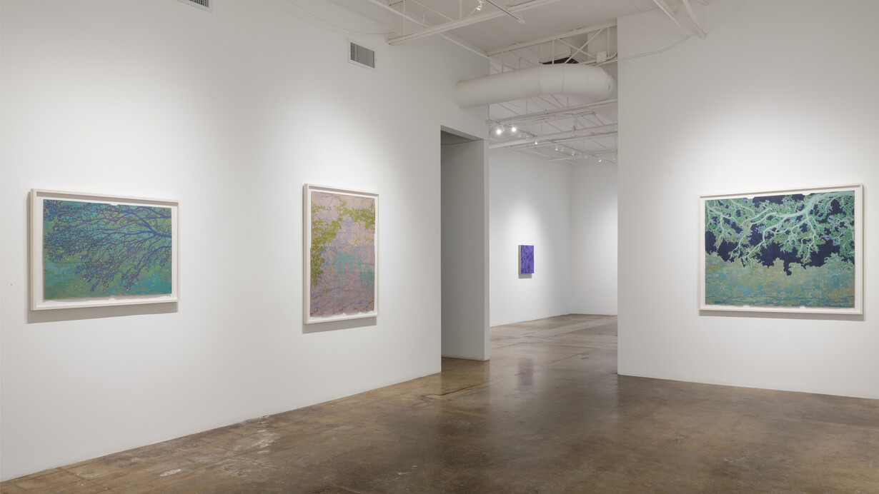 Maysey Craddock, Waterlines, exhibition view. Courtesy of Cris Worley Fine Arts