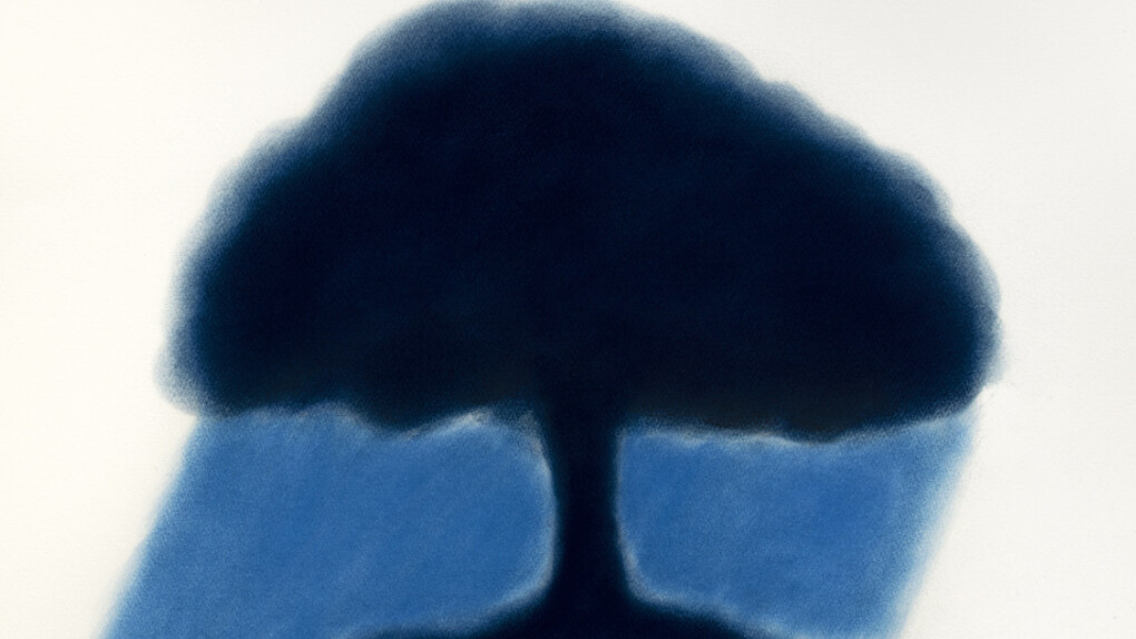 Trees. Courtesy Galerie Lelong