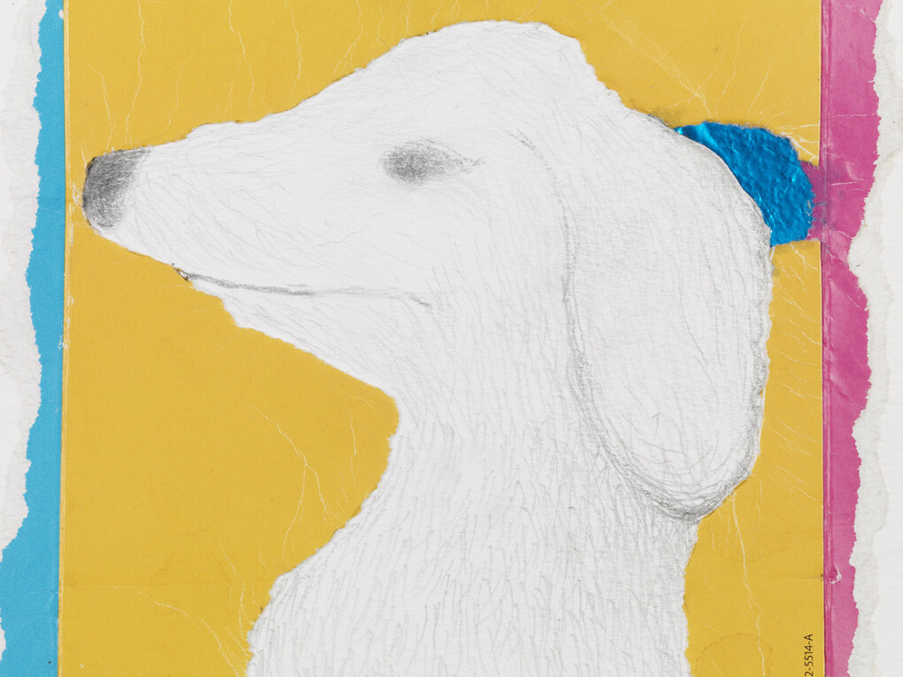 Colin Self, Craigie’s dog “Waynie” (Craigie Aitchison), 15/10/15, Mixed media collage and pencil, 18 x 21 cm