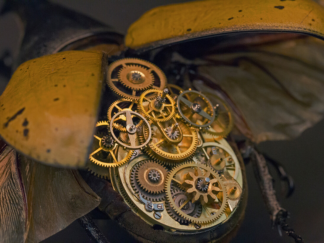 Gaby Wormann, Dynastes Hercules (detail)