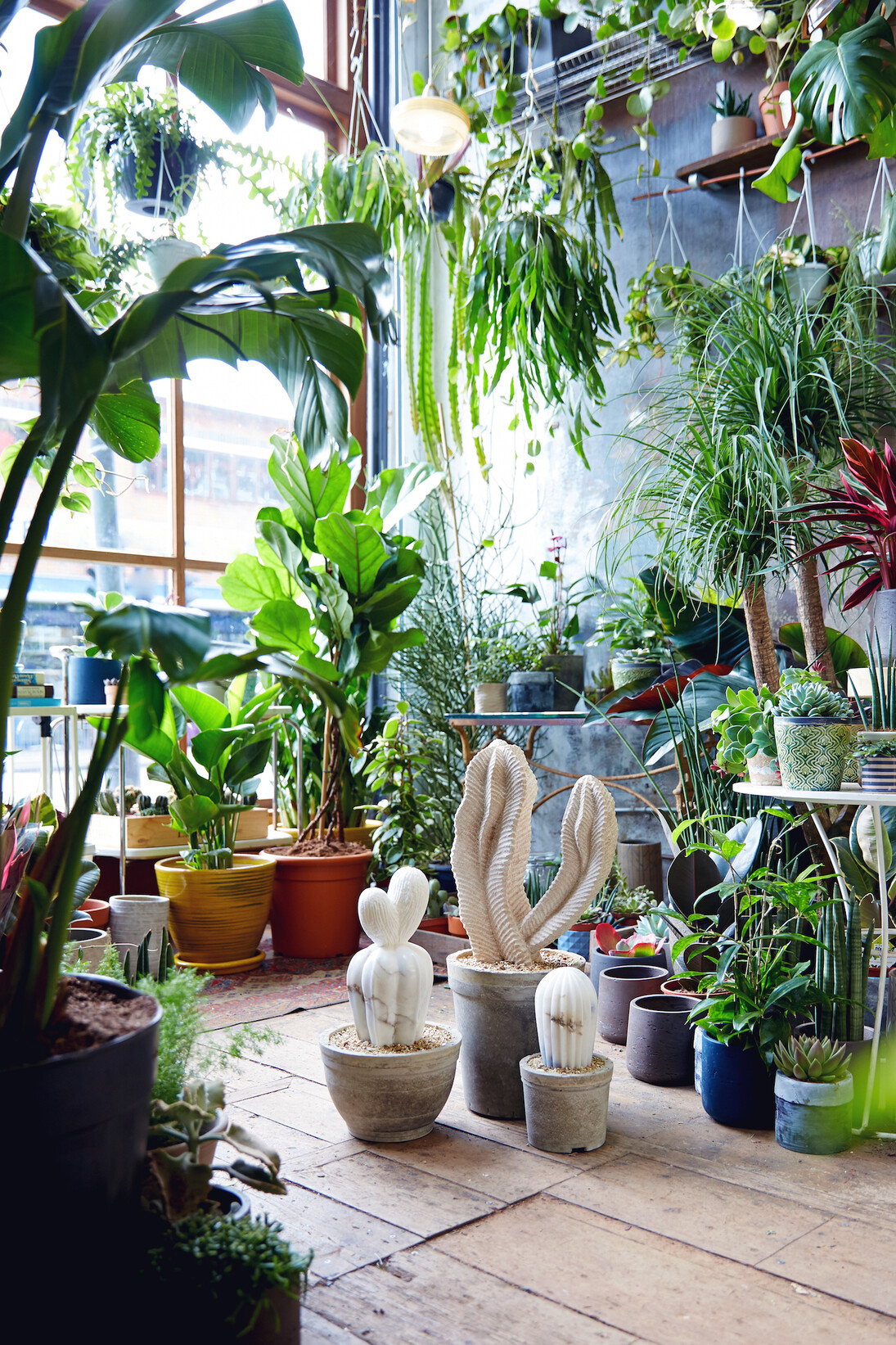 The Cactus House. Courtesy of Hignell Gallery